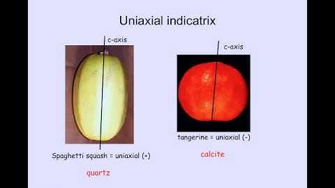 9 Interference figures