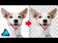 Remove A White Background with Affinity Designer