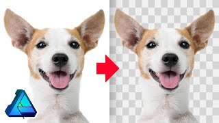 Remove A White Background with Affinity Designer screenshot 4