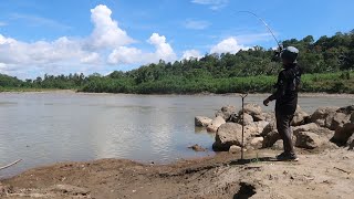Download Lagu Mancing Di Spot Baru Langsung Dapat Sambaran Ikan Sidat MP3 Download Lagu Mancing Di Spot Baru Langsung Dapat Sambaran Ikan Sidat MP3