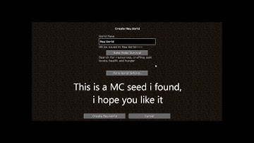 Minecraft 1.2.5 Seed: Dungeon, Village, Diamonds, Ravine, Mineshaft and More!