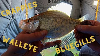 Ice Fishing MN X-Mas 2020: Walleye, Crappie and Bluegill