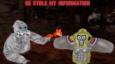 I Got Doxxed In Gorilla Tag…