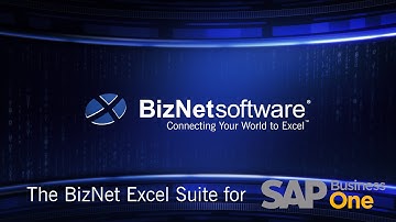The BizNet Excel Suite for SAP Business One