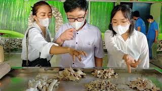 penyempurnaan  abu tulang setelah kremasi. .(medan )
