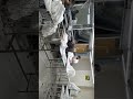 تصور حمودي شاهدوا تم طزبيط جميع بنات الورشة شغل تركيا 