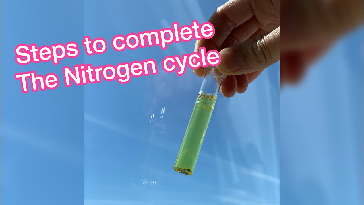 The Nitrogen cycle steps and API water test kit - YouTube