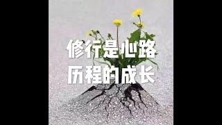 201809 修行是心路历程的成长50690