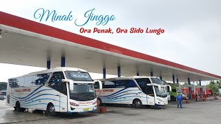Ada Harga, Ada Kualitas.. Tapi, Kok JADI GINI SIH..?! | Pahala Kencana Tangerang - Madura Part 2