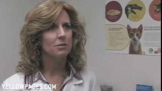 Del Valle Pet Hospital