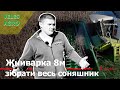 Жниварка 8 // Як зібрати весь соняшник?!