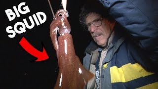 Catching BIG SQUID at NIGHT on Jigs (PIER FISHING)