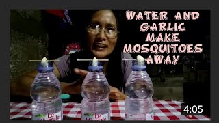 Water & garlic make mosquitoes away? #v0111