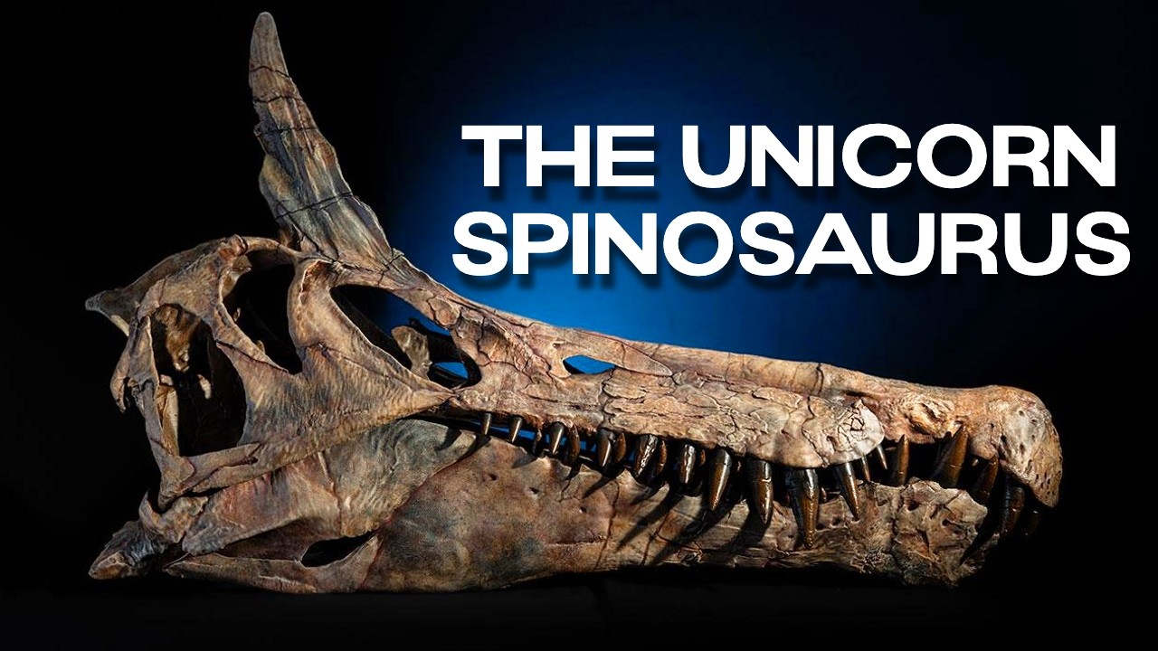 Spinosaurus Mirabilis - The Unicorn of the Cretaceous