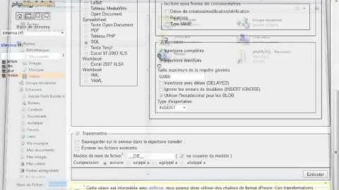 28  Exporter et importer une BDD dans PhpMyAdmin php et MySQL Tutorial débutant avi