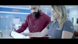 Manifesto - Japi