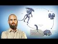 La Biologia di Alien. Il ciclo vitale