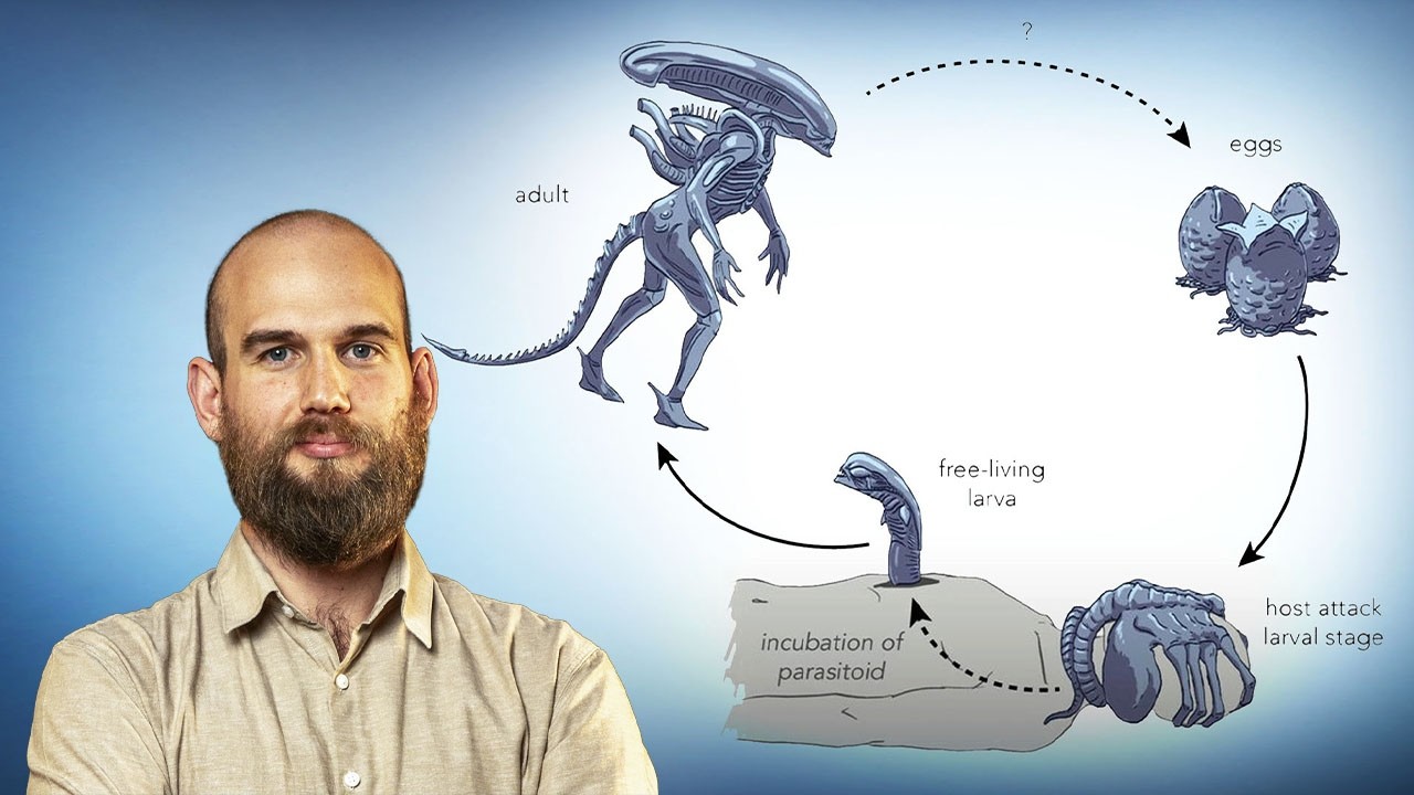 La Biologia di Alien. Il ciclo vitale