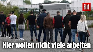 Gabriel Über Die Corona-Probleme In Der Fleischindustrie Klartext