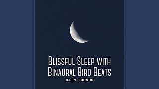 Tranquil Rain Serenade