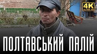 Полтавський палій в 4K смотреть онлайн без регистрации