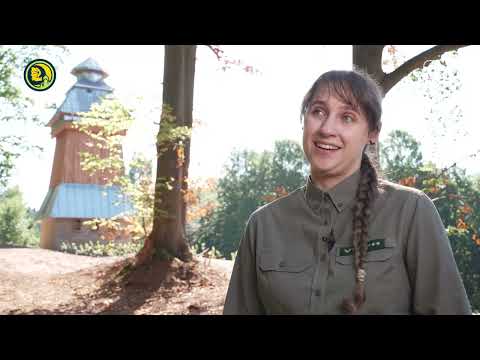 New bat towers in Polish forests!