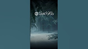 سورة يونس الآية 42 و 43 و 44 بصوت القارئ محمد الفقيه