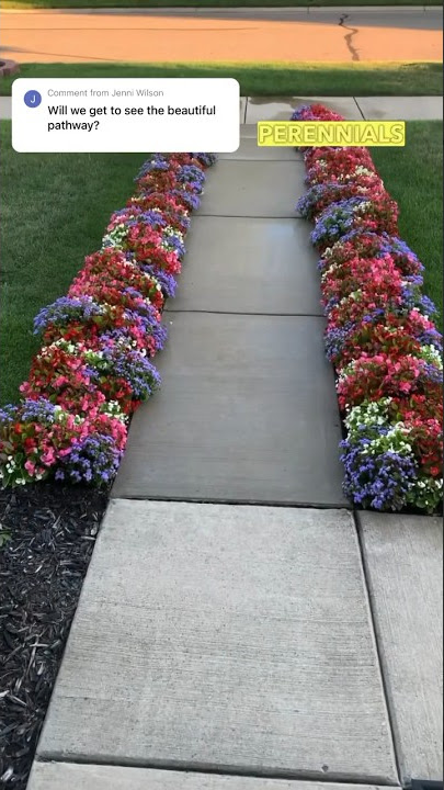 Here’s what these gorgeous flowers are! #shorts