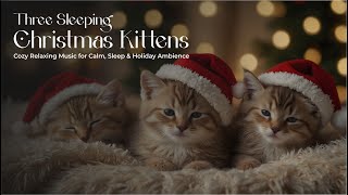 Three Sleeping Christmas Kittens – Cozy Relaxing Music for Calm, Sleep & Holiday Ambience screenshot 5