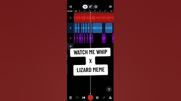 Thumbnail of 🦎where did this lizard come from? 🤣 #lizard #lizardmeme #trending #meme #memecut #music #viral #fyp