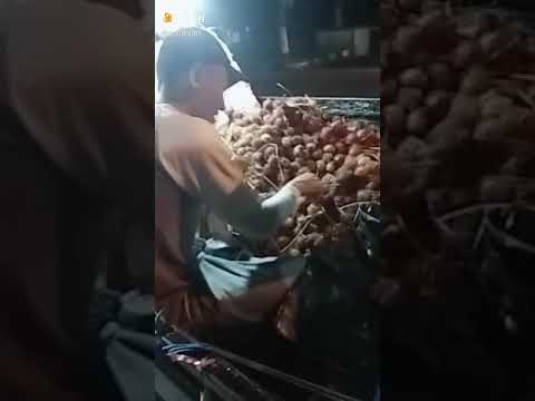 Buah dada - YouTube