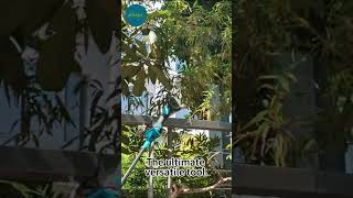 All-Scene pole angle grinder | Jovant Versatile Tool