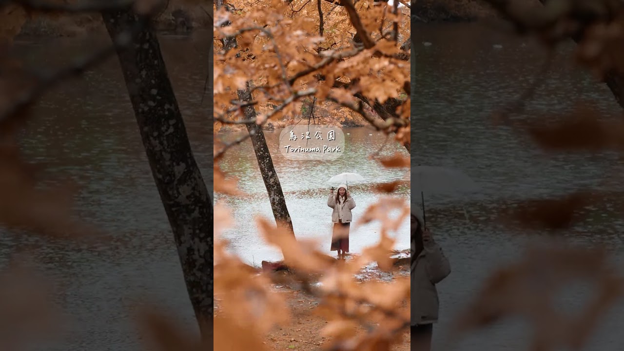 秋天的北海道是什麼樣子美瑛/富良野自駕遊What is Autumn like in Hokkaido?Biei/Furano Self-driving Trip