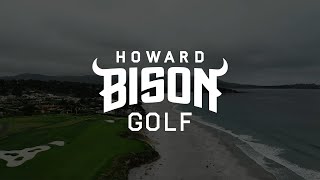 Bison At The Beach 2023