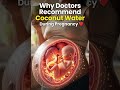 Why Do Doctors Recommend Coconut Water During Pregnancy? #facts #medicalanimation #humanbody