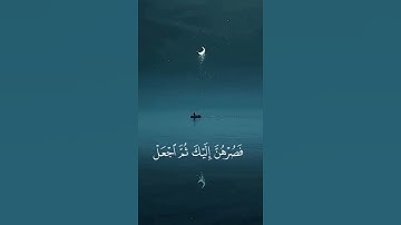 جمال القرآن غير 🥺#تلاوة_هادئة #راحة_نفسية #قرآن_كريم #محمد_ديبيروف#المصحف