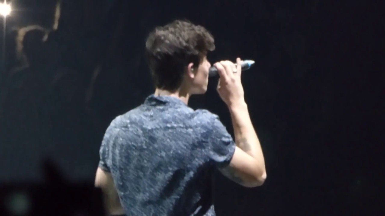 Shawn Mendes Roses Capital One Arena, Washington DC YouTube