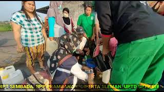 Vlog 013 Gerdal OPT Penyakit BLB / Bakteri Hawar Daun / Kresek pada Padi