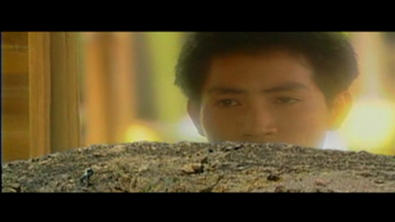 Tình Đơn Côi - Nguyễn Phi Hùng