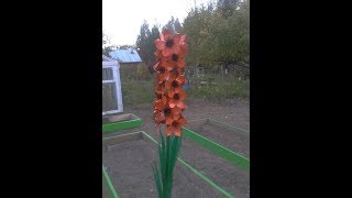 Лучшие идеи поделок из пластиковых бутылок для дачи Лучшие идеи поделок из пластиковых бутылок для дачи