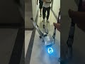 Robot Struggles To Walk And Keeps Falling In Henan China