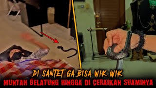 MENGERIKAN KELUAR ULAR HITAM DARI K3M4LU4N WANITA!!!
