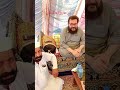 پیر سید طارق آغا جان گیلانی