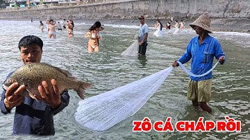 Hiếm Lắm Mới Thấy Cảnh Này - Các Chú Thả Lưới Thành Công Cá Cháp Tại Bãi Tắm