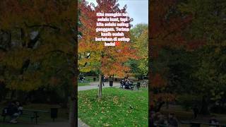 Terima kasih sdh bertahan di setiap badai❤️💪#trending #shorts #motivasi #terimakasih #perjuangan