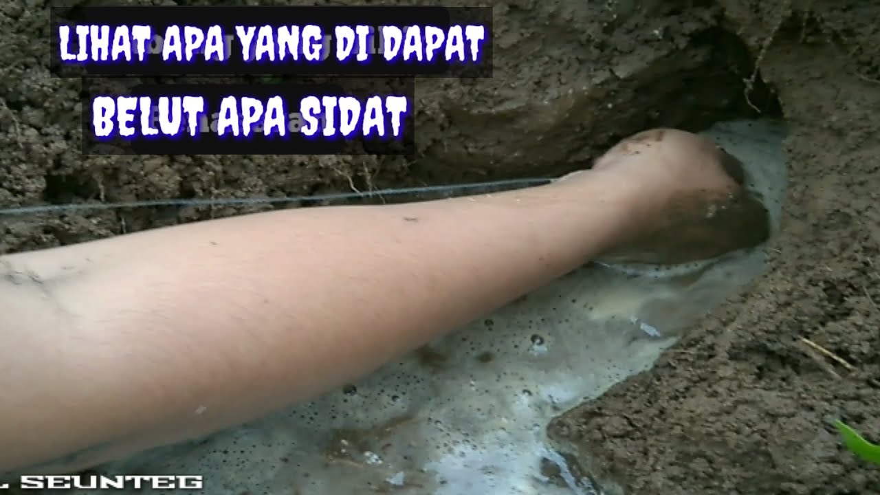 Mancing belut kail seunteg feat Riri dije || eel fishing