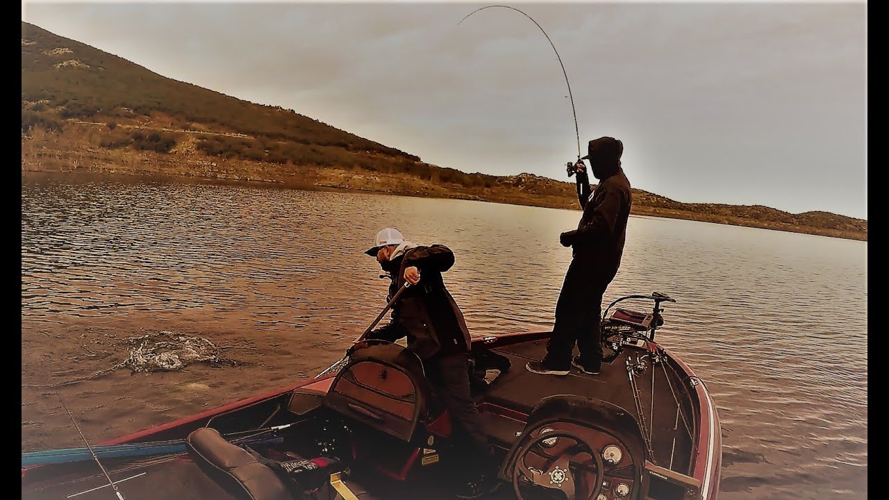 DVL BITE IS HEATING UP!  American Bass Diamond Valley Lake