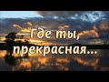 Где ты прекрасная - красивое исполнение | Петр Бальжик