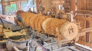 Sawing a really nice 14ft poplar #257