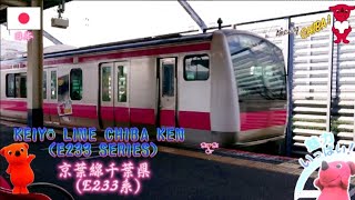 JR East Keiyo Line Chiba Ken (JR東日本京葉線で千葉県ラッピングトレインE233系)